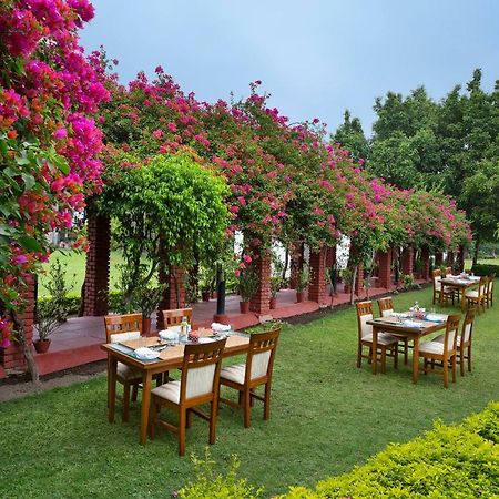 ホテルNaturoville Ayurvedic And Yoga Retreat リシケーシュ エクステリア 写真