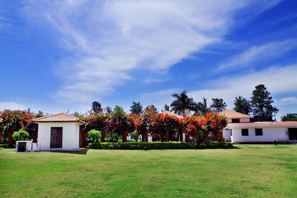 ホテルNaturoville Ayurvedic And Yoga Retreat リシケーシュ エクステリア 写真