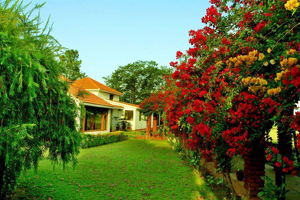 ホテルNaturoville Ayurvedic And Yoga Retreat リシケーシュ エクステリア 写真