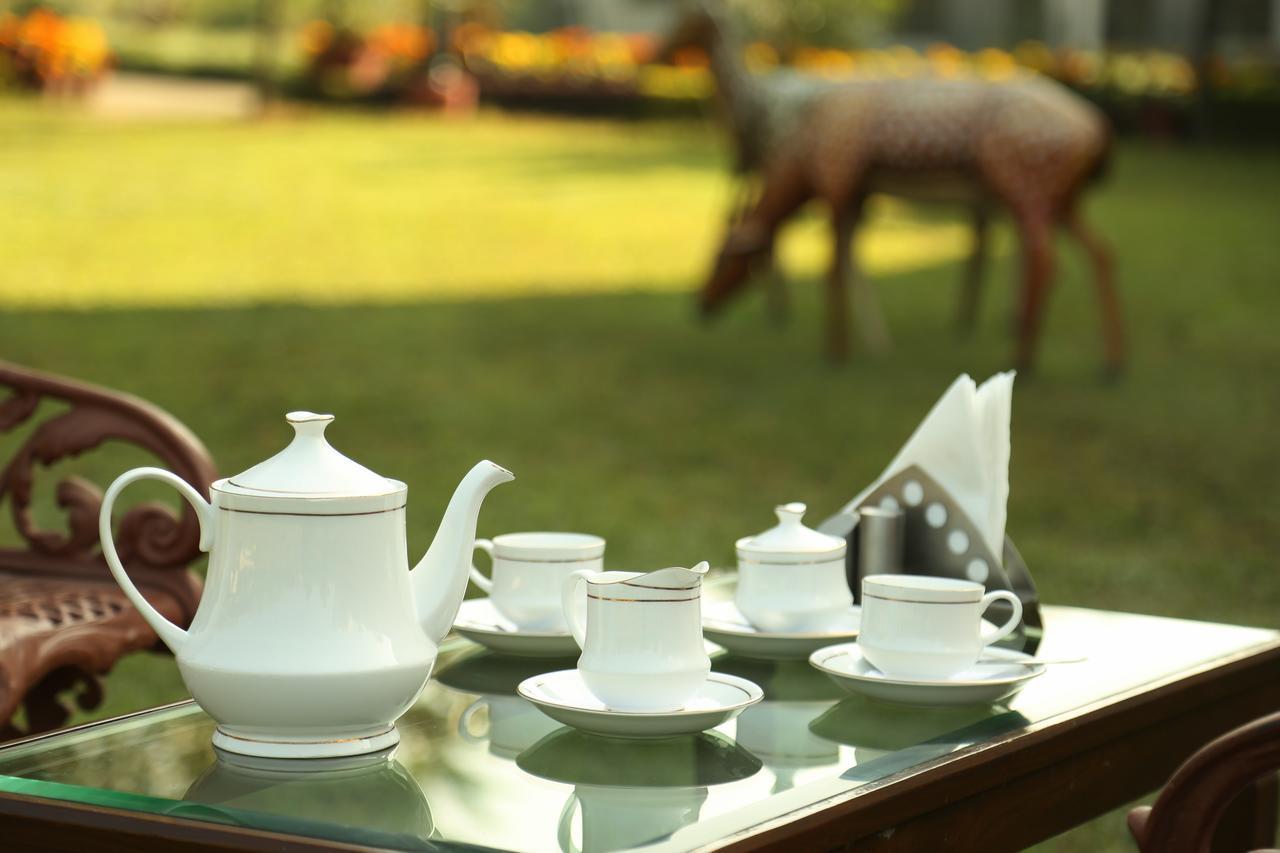 ホテルNaturoville Ayurvedic And Yoga Retreat リシケーシュ エクステリア 写真